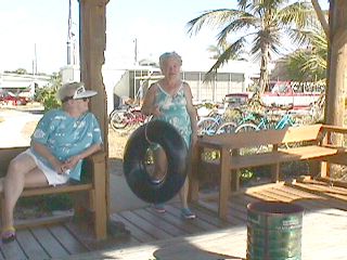 Christmas at Gulf to Bay 1998 #1