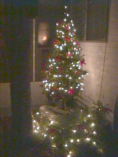 Christmas at Gulf to Bay 1998 #8