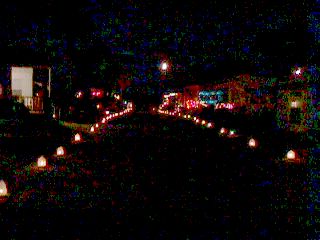 Christmas at Gulf to Bay 1998 #13