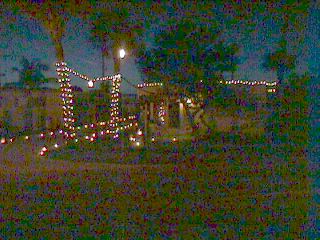 Christmas at Gulf to Bay 1998 - Slide #54