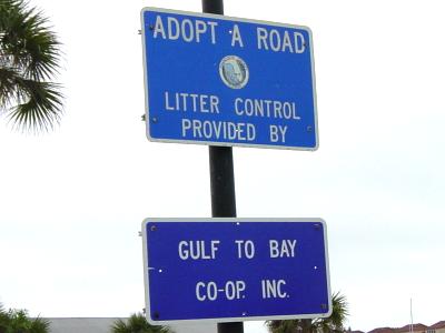 Gulf to bay Adopt-A-Road March 31 2001 Slide 8