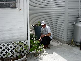 Chairs Arrive at Gulf to Bay Slide 10