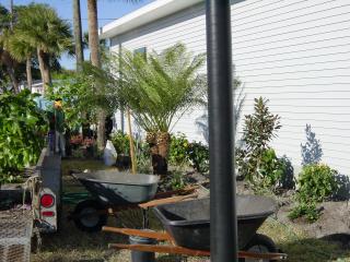 Hall Plantings January 2002 - Slide 2