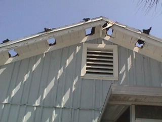 Hall Construction Begins Slide 107