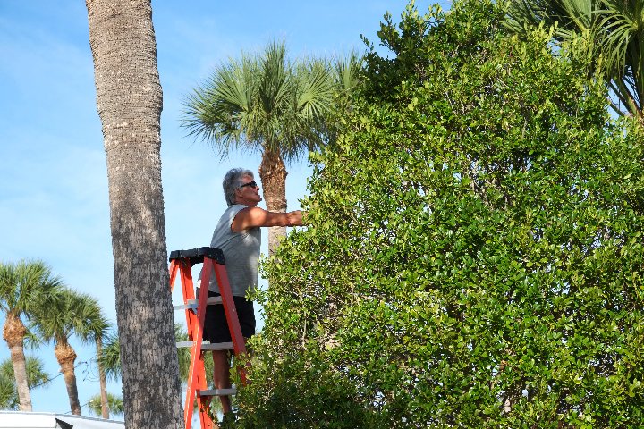 2023 Christmas Decorating at Gulf to Bay - Slide 14