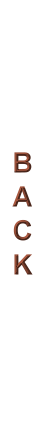 Previous
