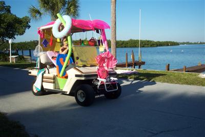 Gulf to Bay Carnival - 2007 <br> Photos by Rene Dube - Slide 85