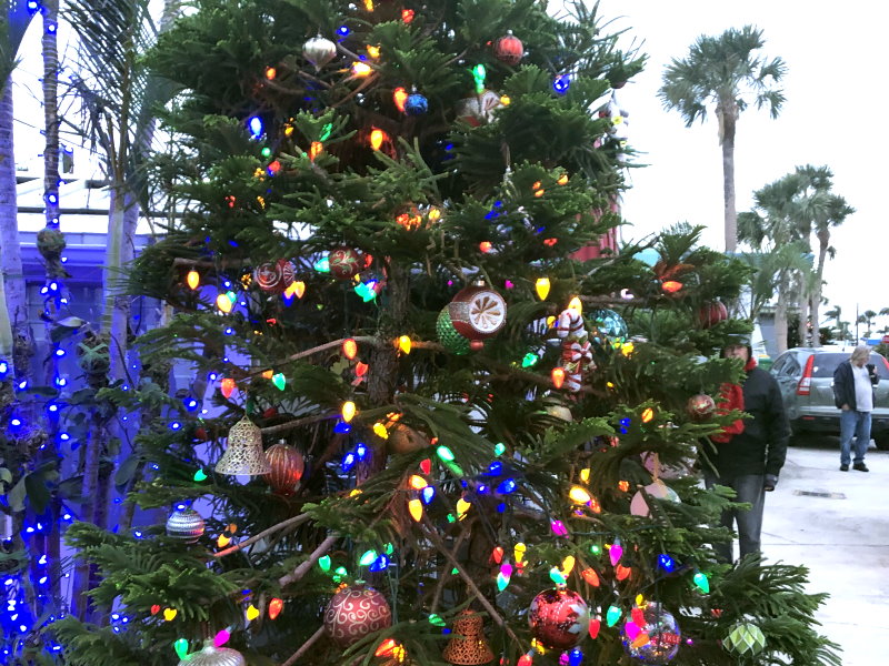 Christmas eve at Gulf to Bay 2022 - Slide 15