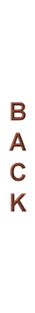 Previous