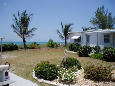 Tiki Update<br>Photos by Greg Wheeler - Slide 2