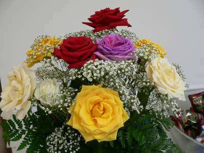 Georgette's Birthday Party<br>
Photos by Nora Szabo - Slide 8