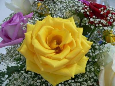 Georgette's Birthday Party<br>
Photos by Nora Szabo - Slide 24