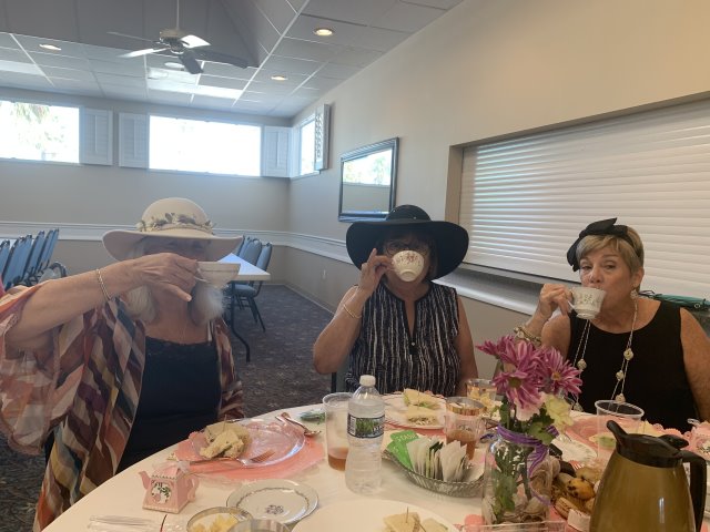 High Tea at Gulf to Bay - 2023 - Slide 20