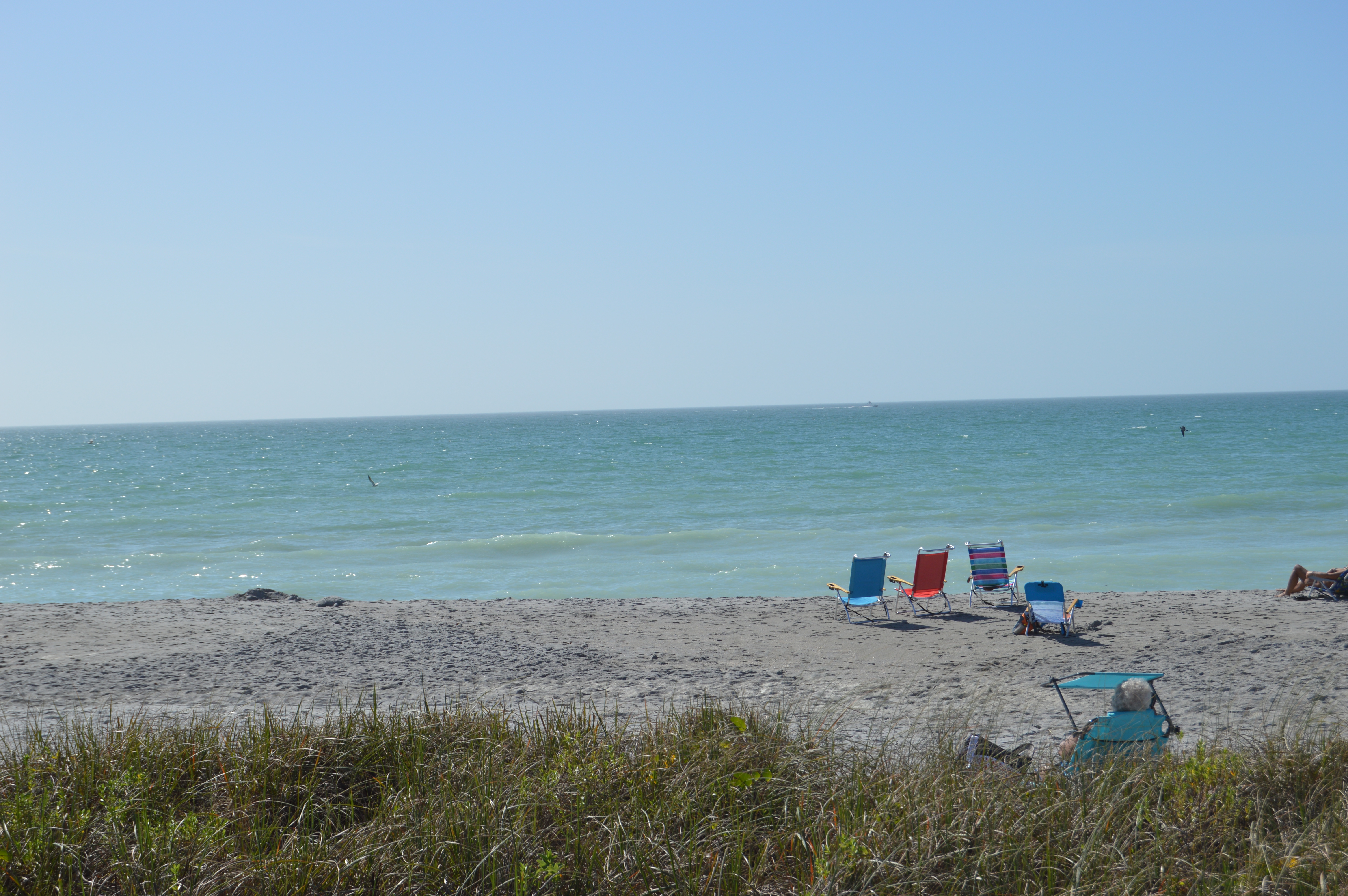 New Years Day Plunge 2021 - Photos by MJ Bishop - Slide 3  