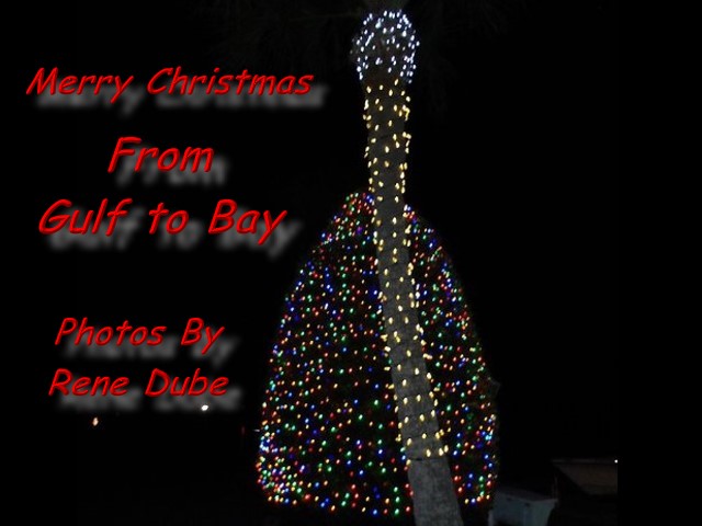 Christmas Tree Lighting Party Nov 30 2018 - Slide 24